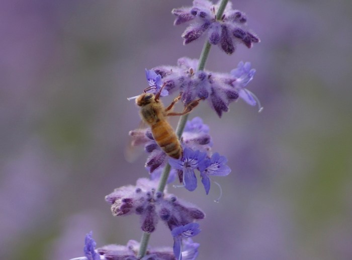 IMGP5650.JPG – Version 2